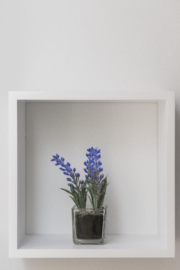 שיבניק Studio Apartment Bilic מראה חיצוני תמונה